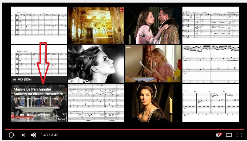 005 Piratage propagande Front nationale site Elina Garanca